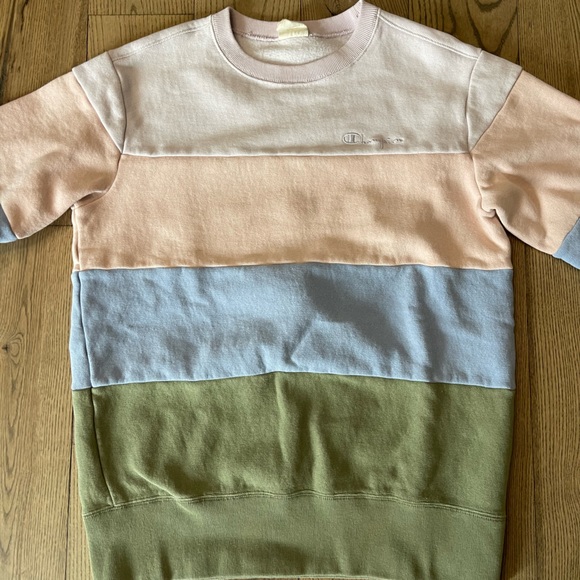 Urban Outfitters Champion Crew Neck Sweatshirt - Picture 10 of 12